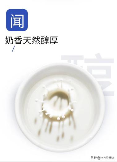 刚出生的小猫没有羊奶粉要喂什么,刚出生的小猫喂羊奶粉应该怎么喂