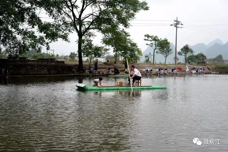 柳江的美景,想要诗和远方又不想离家