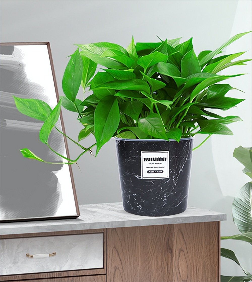 新房装修把空调开到热风去除甲醛,新房装修放醋可以去除甲醛吗