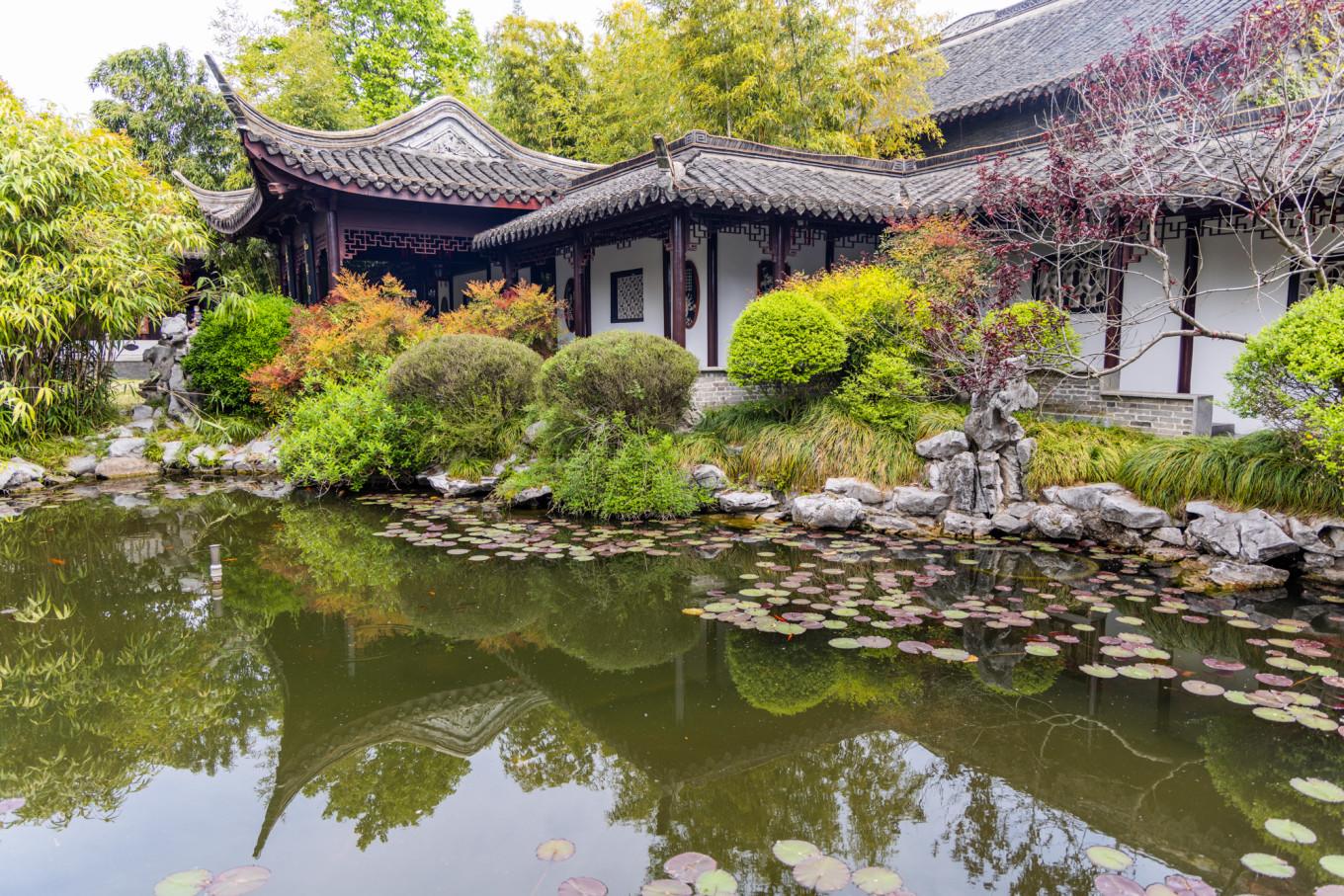 春日下江南杭州,泰州一日游攻略美食