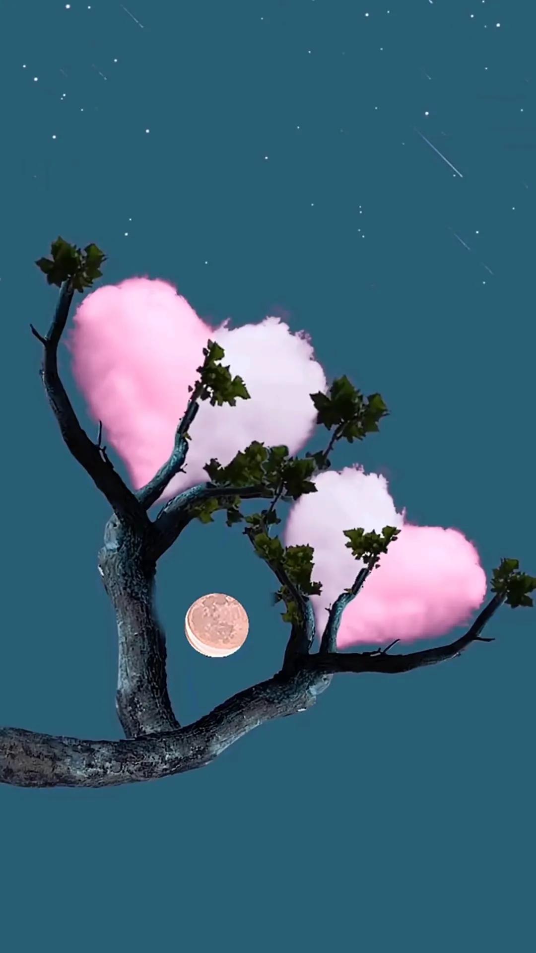 手机壁纸大全超好看动态,壁纸超清4k手机壁纸男生专用