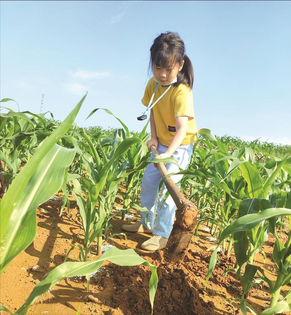多彩活动精彩假期,芝罘区综合实践活动
