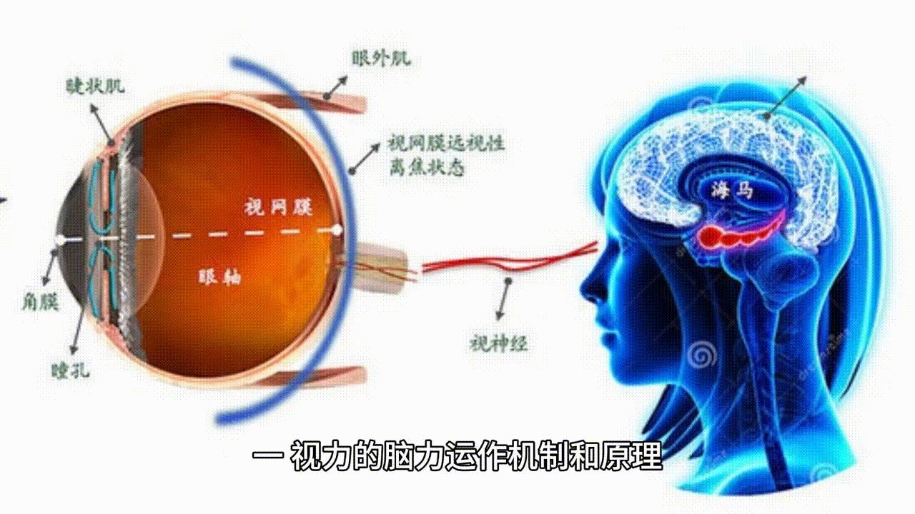 如何通过大脑训练提升视力？推荐六个练脑子的方法-脑博士