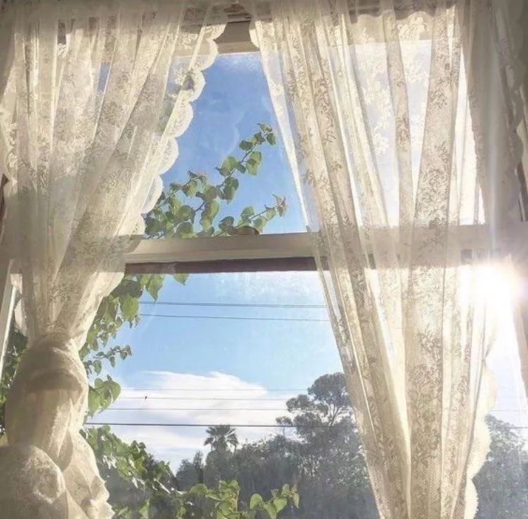 背景图ins风鲜花,ins复古黑色鲜花壁纸