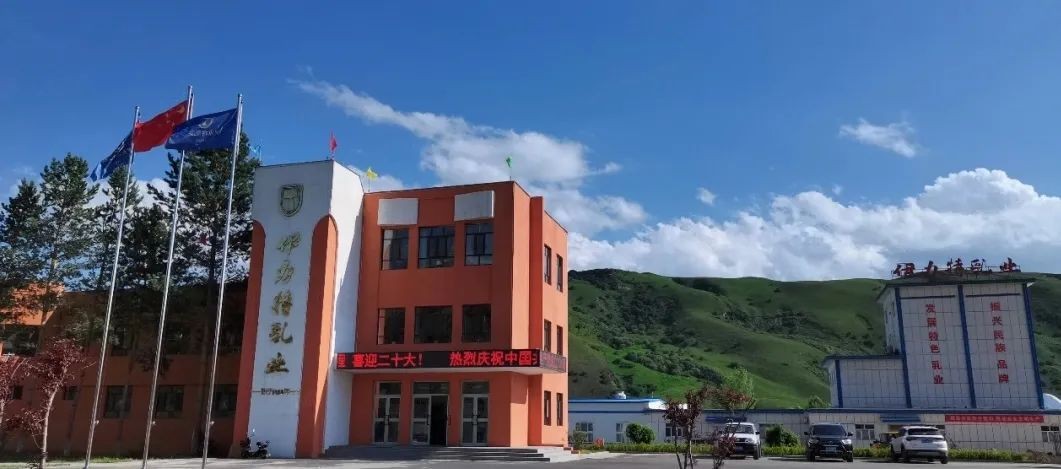 *疆新**第一家奶粉厂伊力特乳业：如何成为乳业茅台