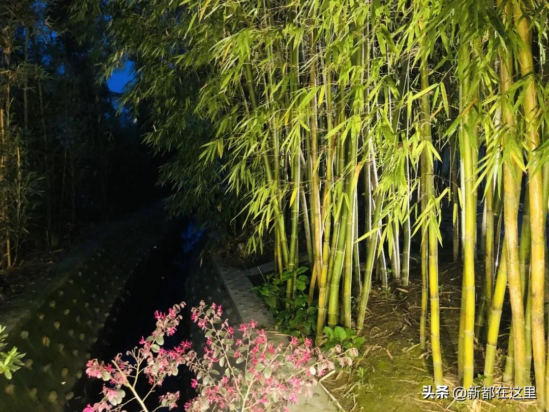 邂逅成都的100个生活细节,邂逅成都的一百个细节