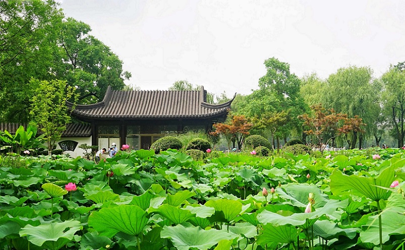 南京免费景点排行榜前十名,南京旅游年卡免费景点一览表