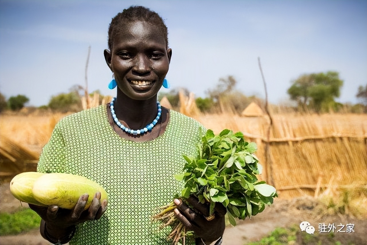 去非洲开农场，比挖金更赚钱？