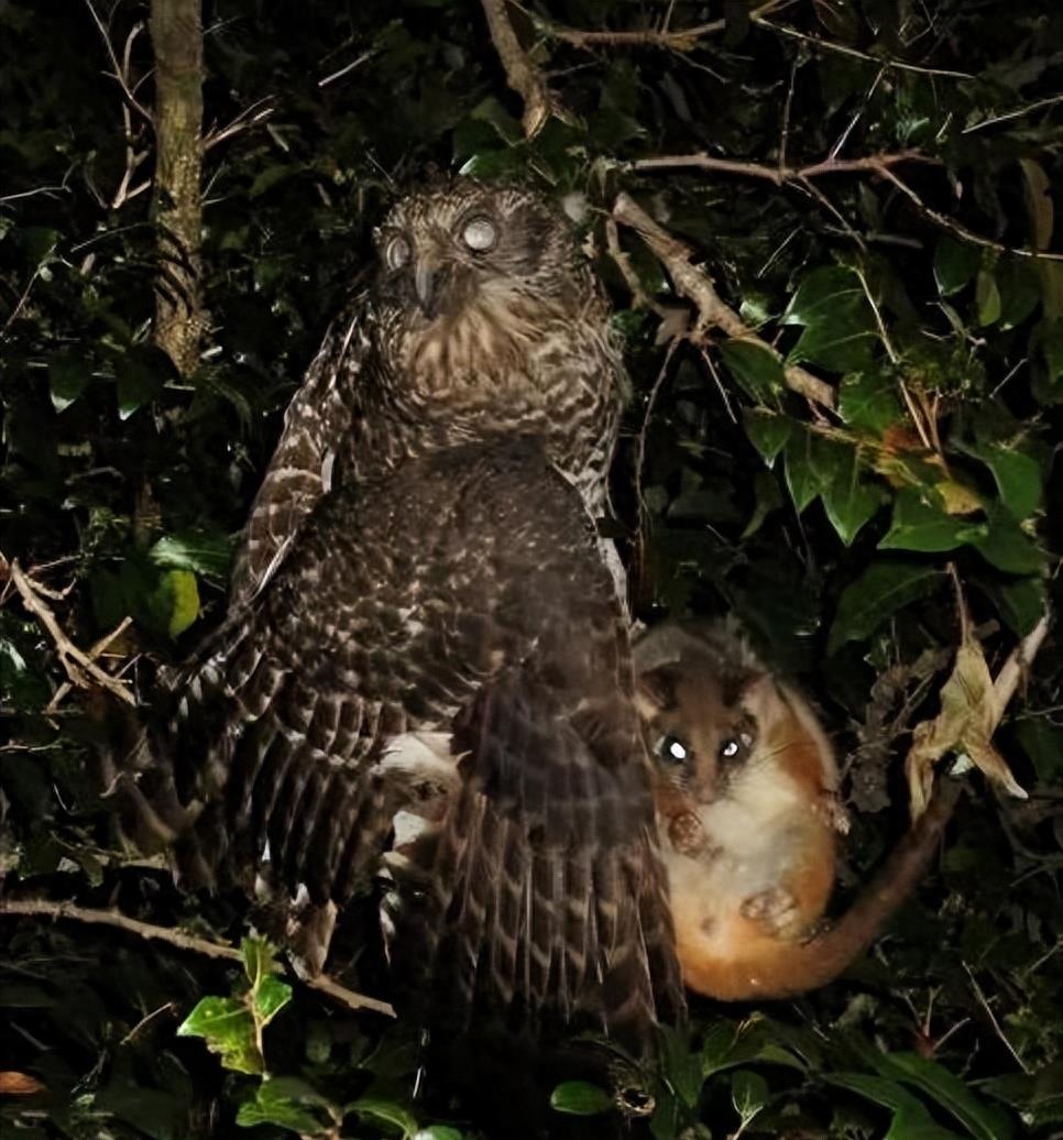 世界最罕见的女人图片高清,最罕见的30张照片女性