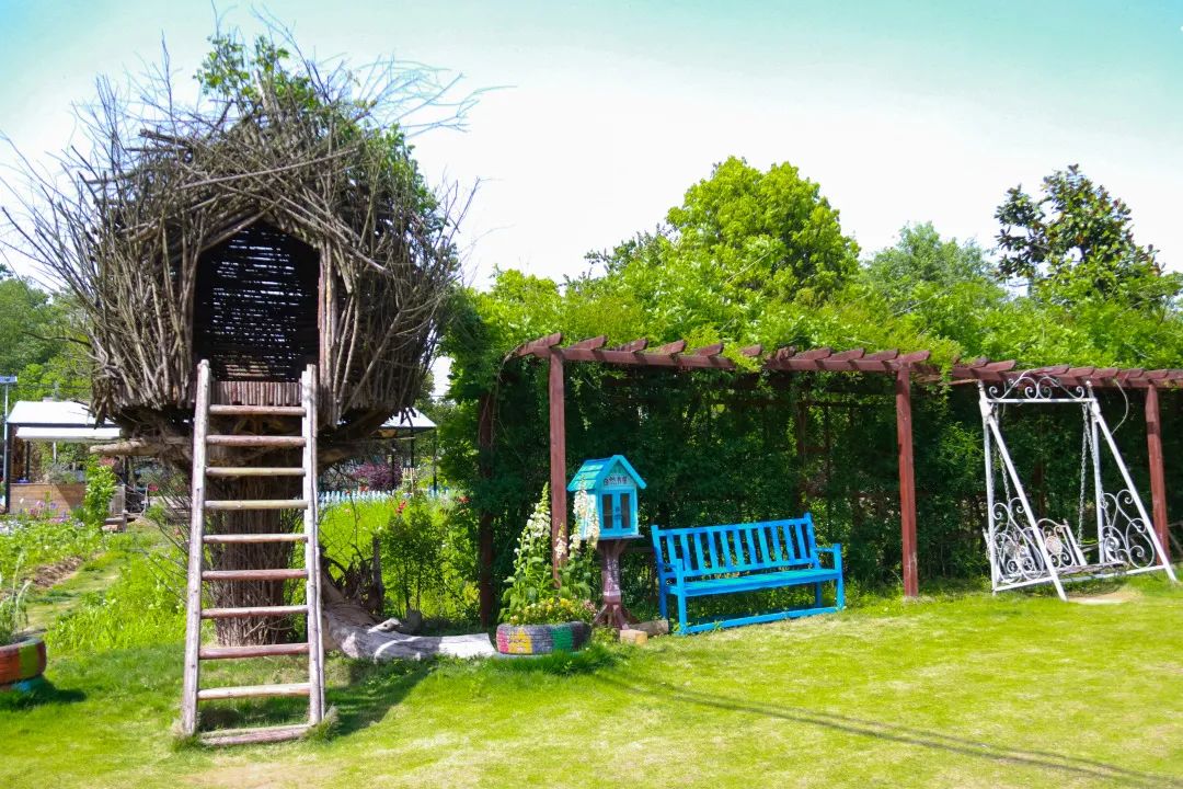 孩子们的快乐星球！周末带娃，肥西这些地方就够啦！