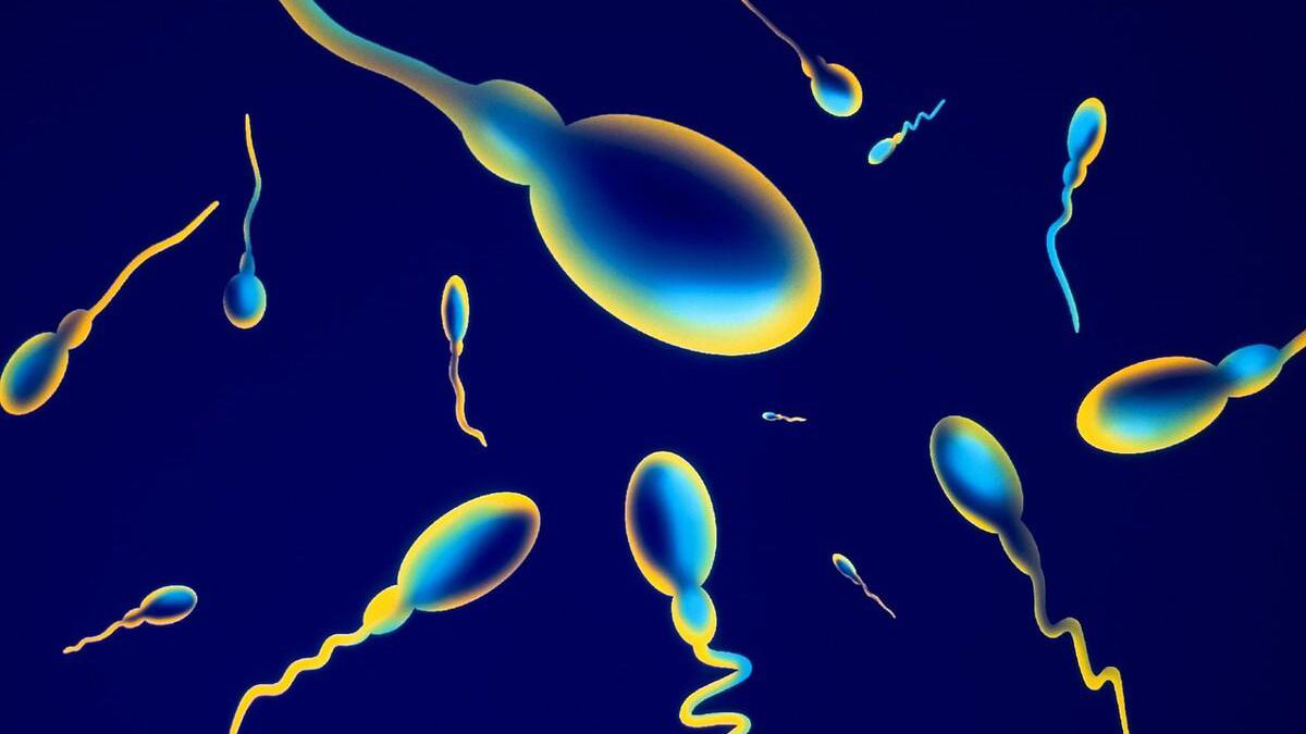 进入女性体内后，结合失败的精子都去哪里了？答案既心疼又好笑