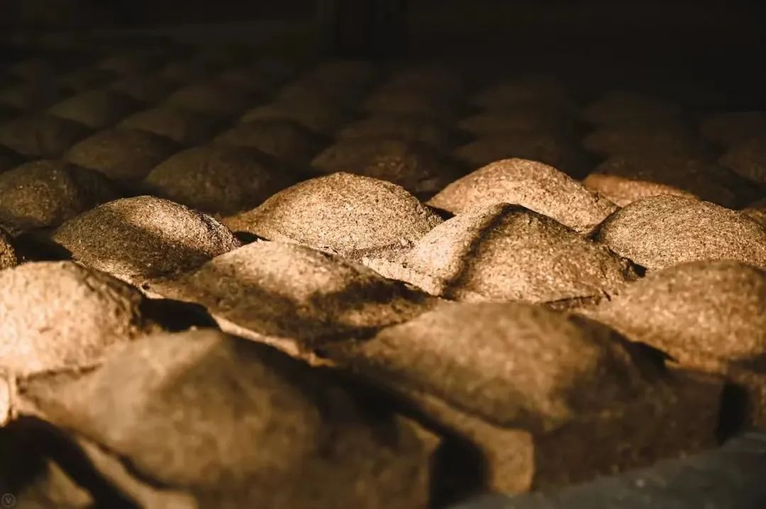 张颐武中国精神,张颐武谈酒文化