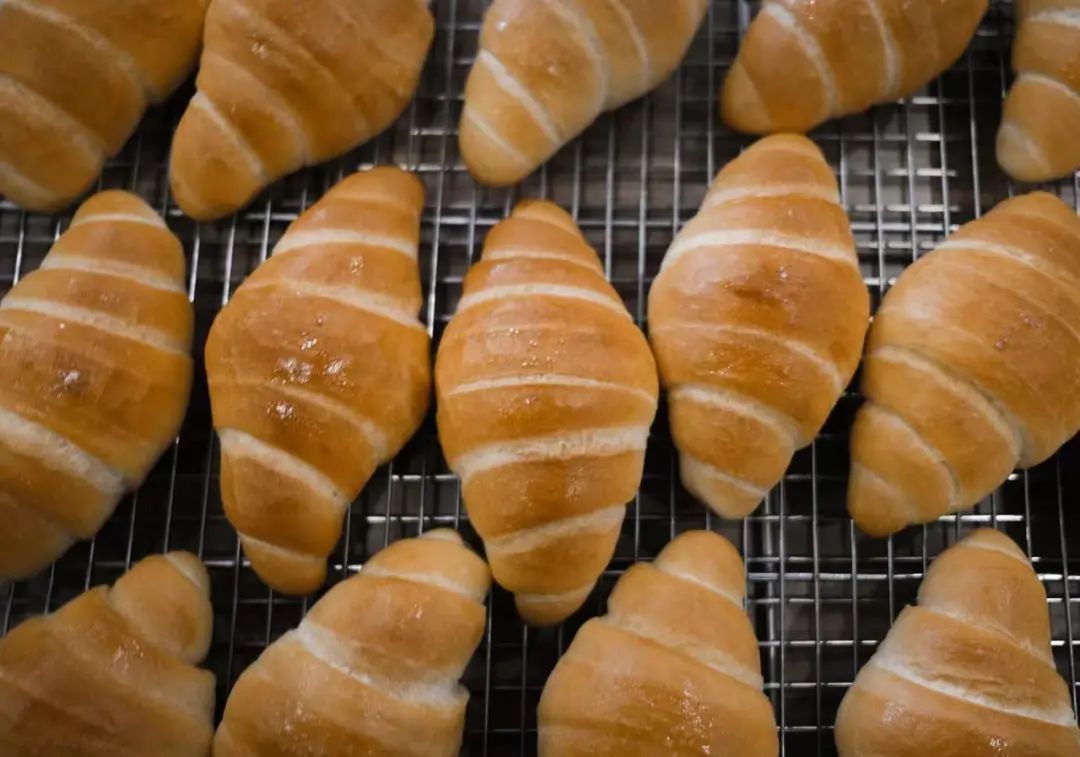 一分钟卖光！神秘周末小菜单，抢不到的「猫咪面团nekopan」