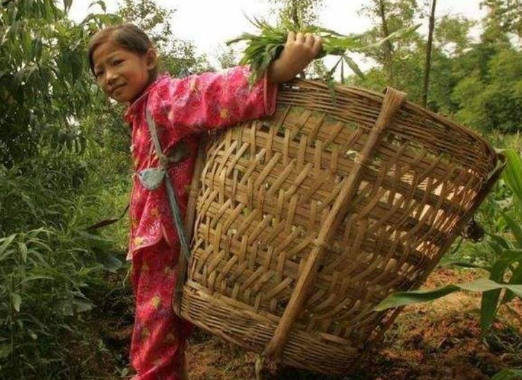 2005年，八岁女孩患急性白血病，为不拖累家人，写下遗书安排后事