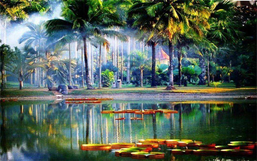 贵州云南四川哪里的自然景观更美,云南十大景观排名图