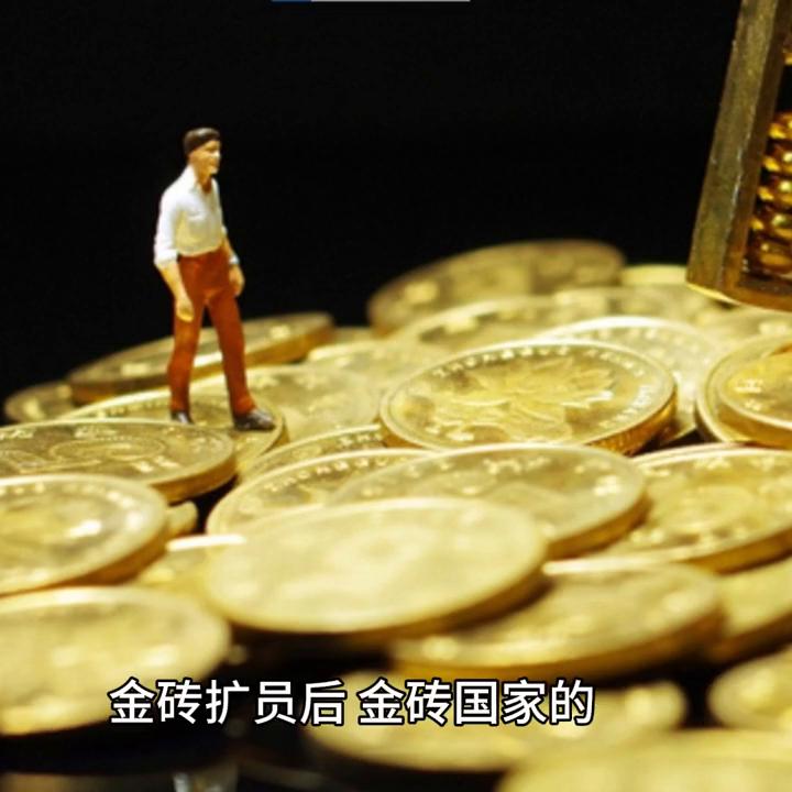 金砖国家,金砖国家成立的时间