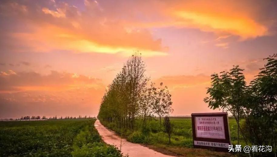 195.河南省舞阳县的概况