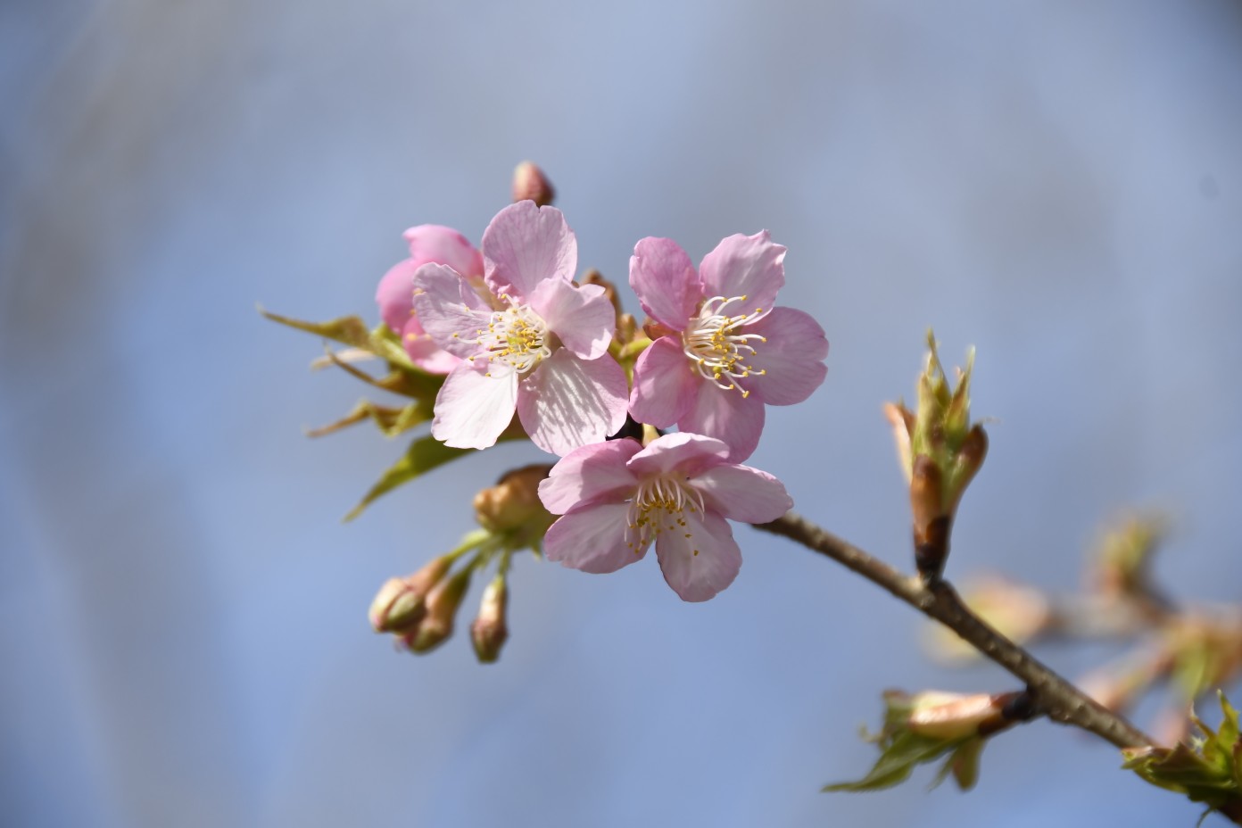 郑州市区内爬山一日游推荐,郑州市春季旅游攻略图