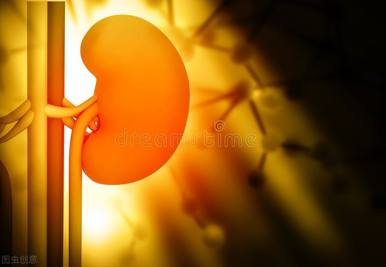 尿毒症患者皮肤瘙痒的护理ppt,尿毒症患者皮肤瘙痒应服用哪种药