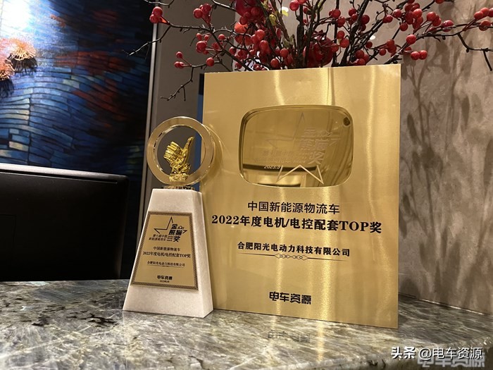 踔厉奋发成就非凡,踔厉奋发成就辉煌