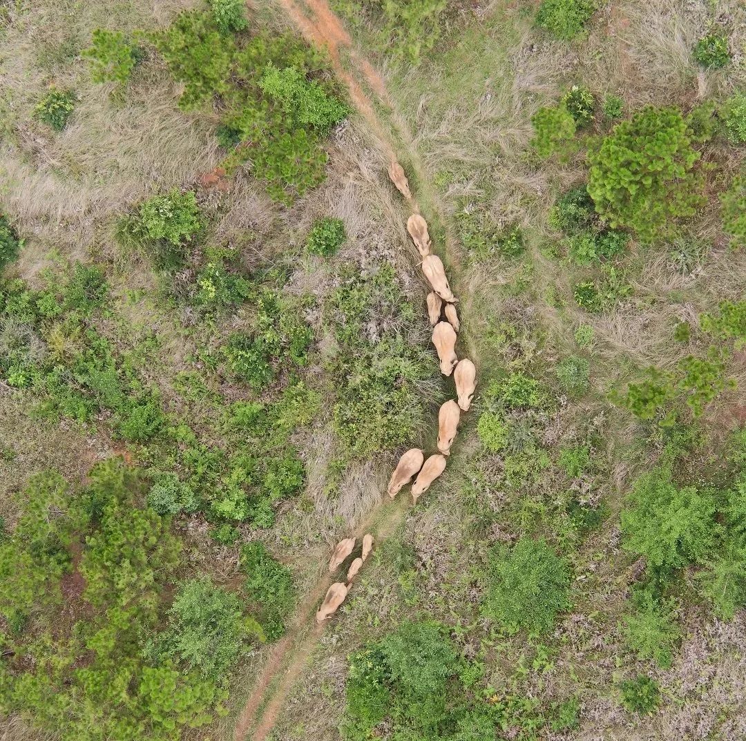 有一种叫云南的生活,有一种生活叫云南的生活