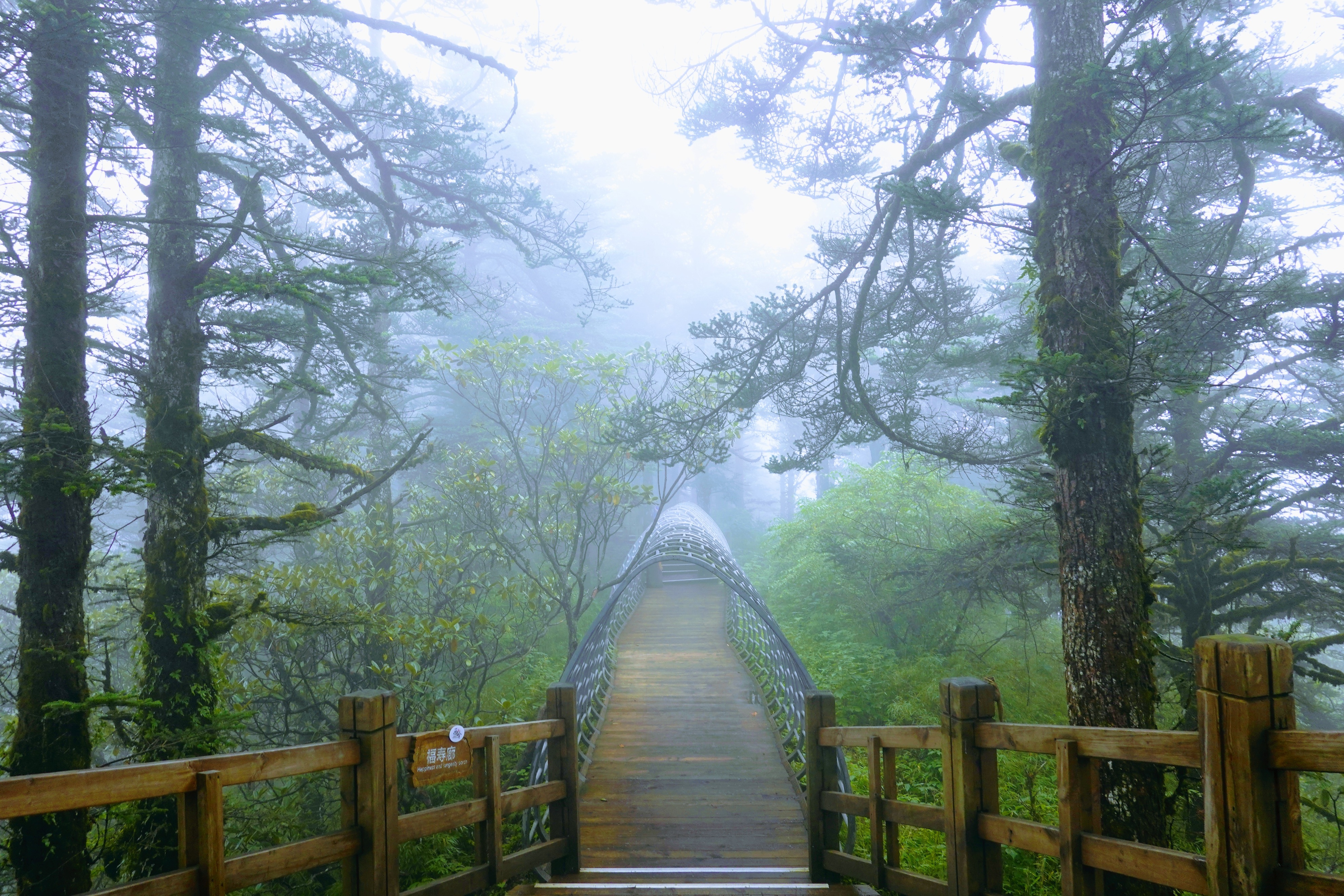 成都大邑徒步旅游攻略,大邑西岭雪山后山门票