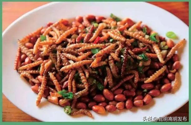 花博会云南,花博会来了