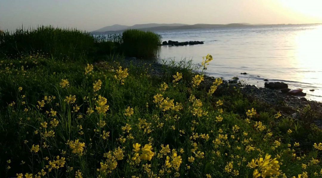 爱旅经常组织的市内登山路线，传说健康的人都去了这里......