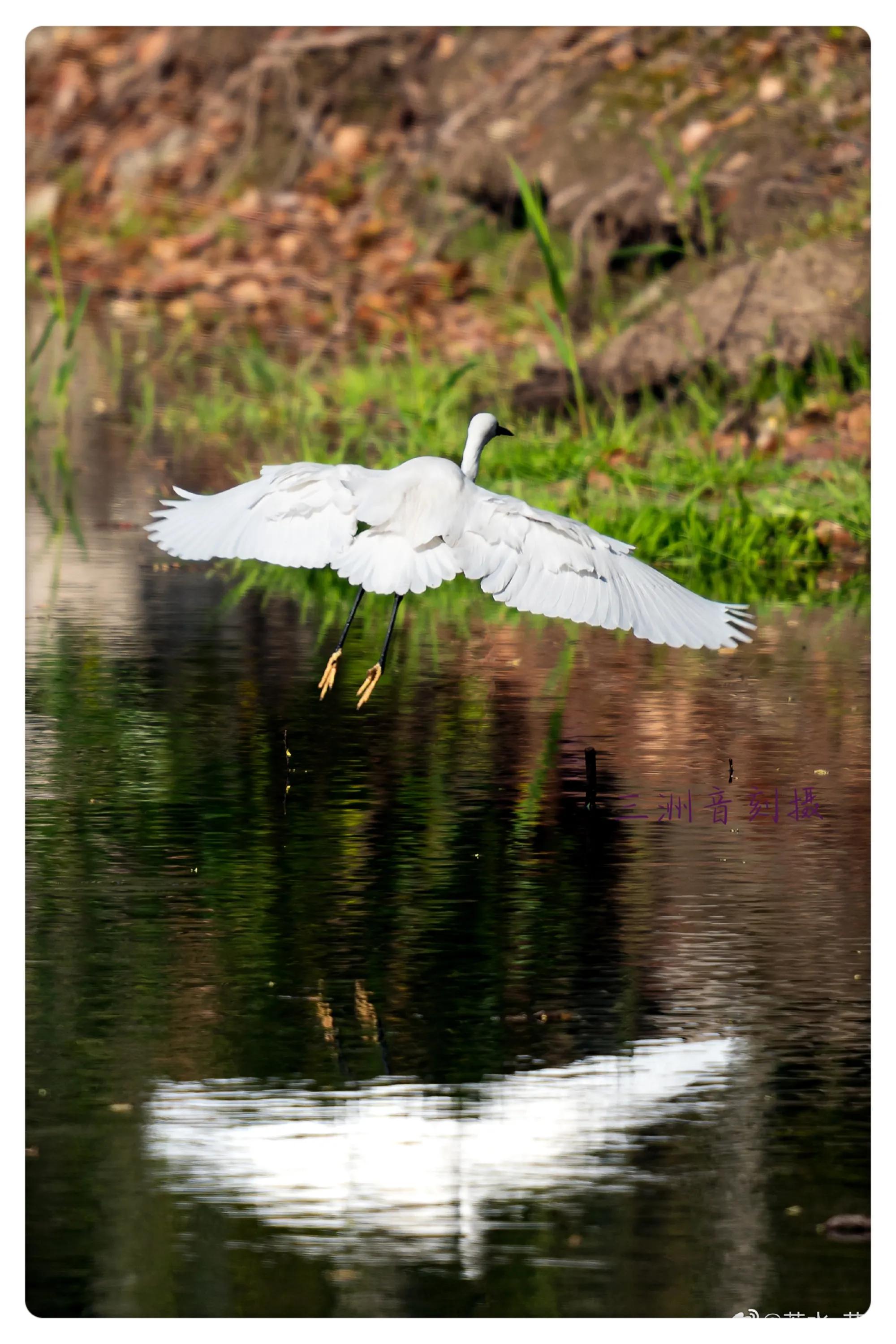 上海国际汽车城安亭,上海安亭国际汽车城