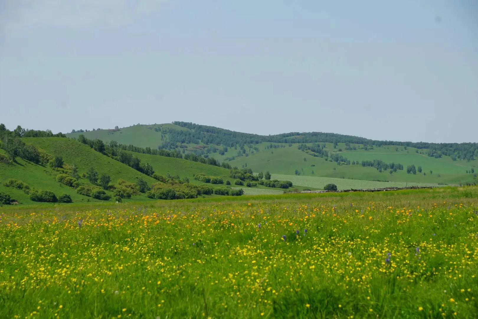 回忆录完整版结局,回忆录电视剧全集