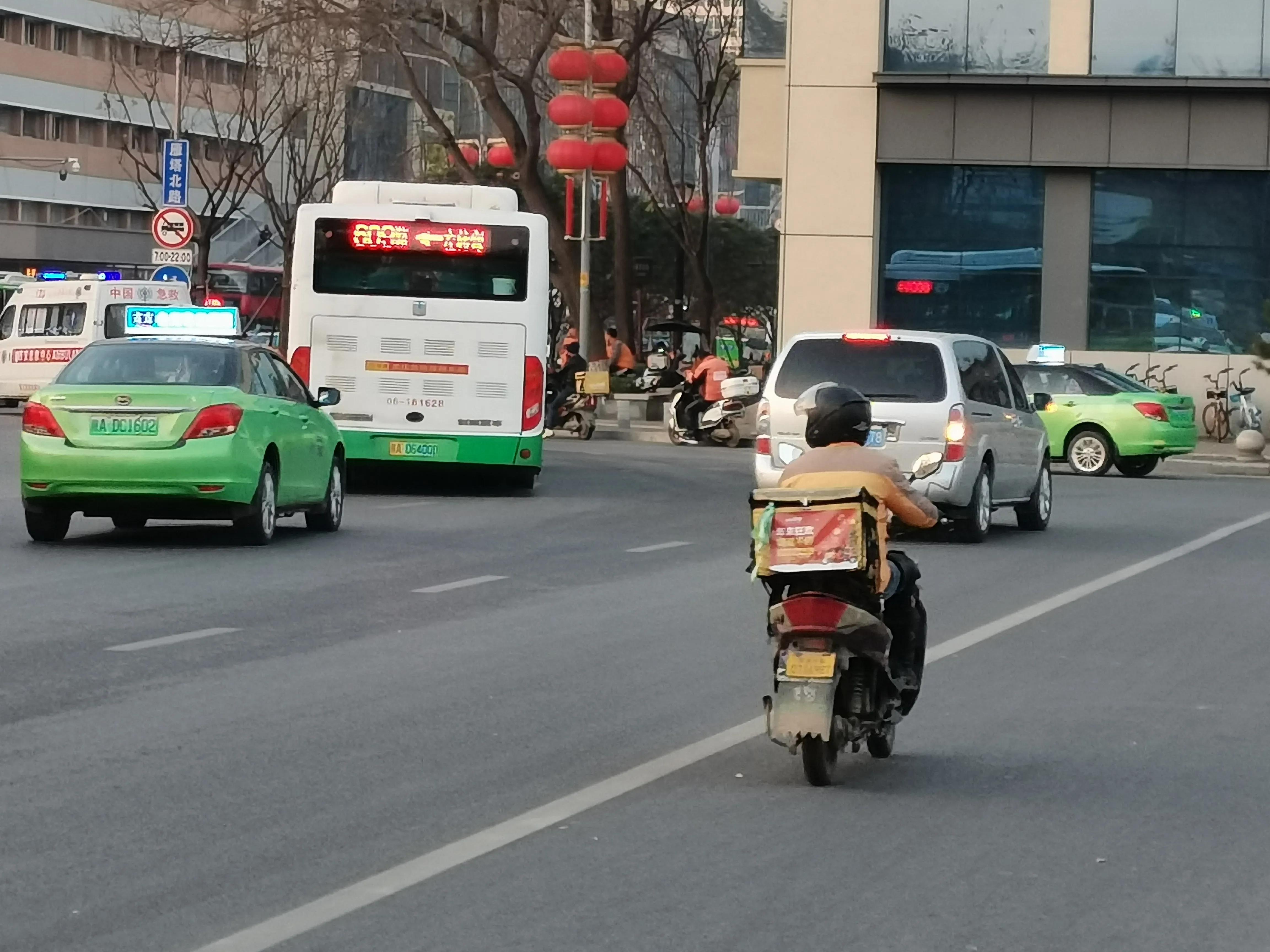 树上的麦,田里的麦苗