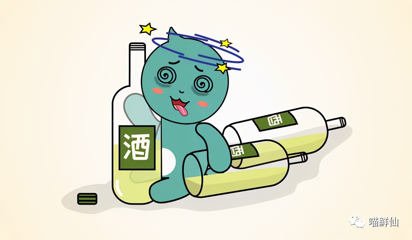 冬至不吃饺子和猫有什么关系,南方冬至猫咪吃汤圆