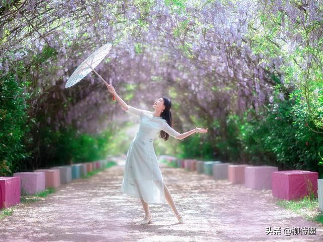 摄影技巧12种简单的拍照方法,拍照新手学习3个摄影技巧