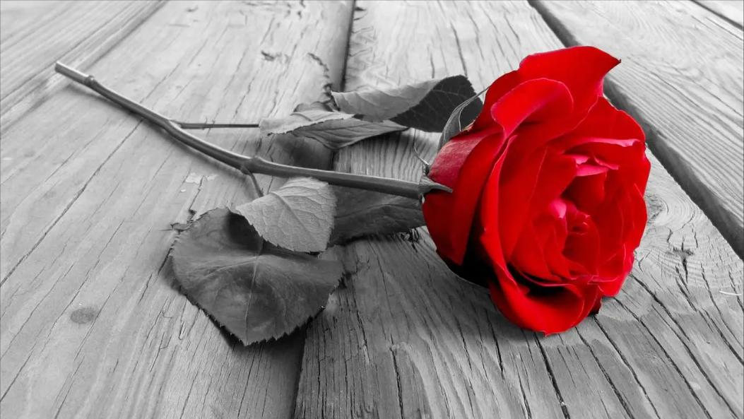 男子强行和女同事发生性关系，中途自动放弃，算不算强奸罪