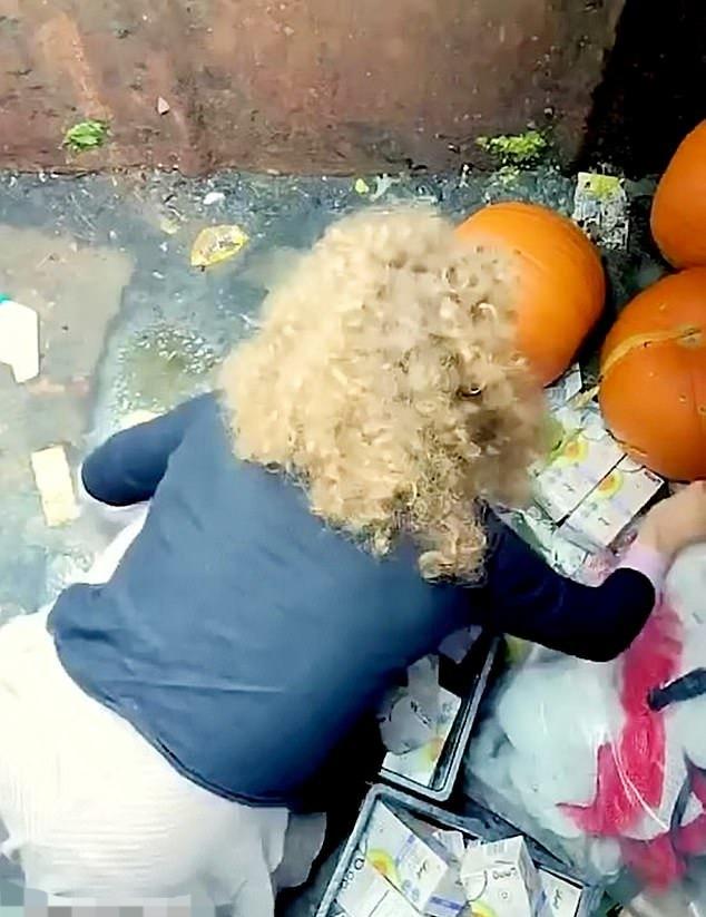 美国网红连续10年翻垃圾箱找吃的：车厘子用盆装，还有菲力牛排