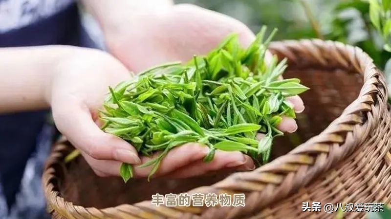 老班章为啥便宜,勐乐山49号老班章真的贵吗
