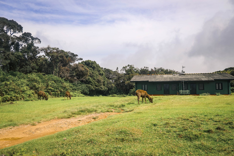 斯里兰卡旅游攻略必去景点,斯里兰卡最佳旅游攻略