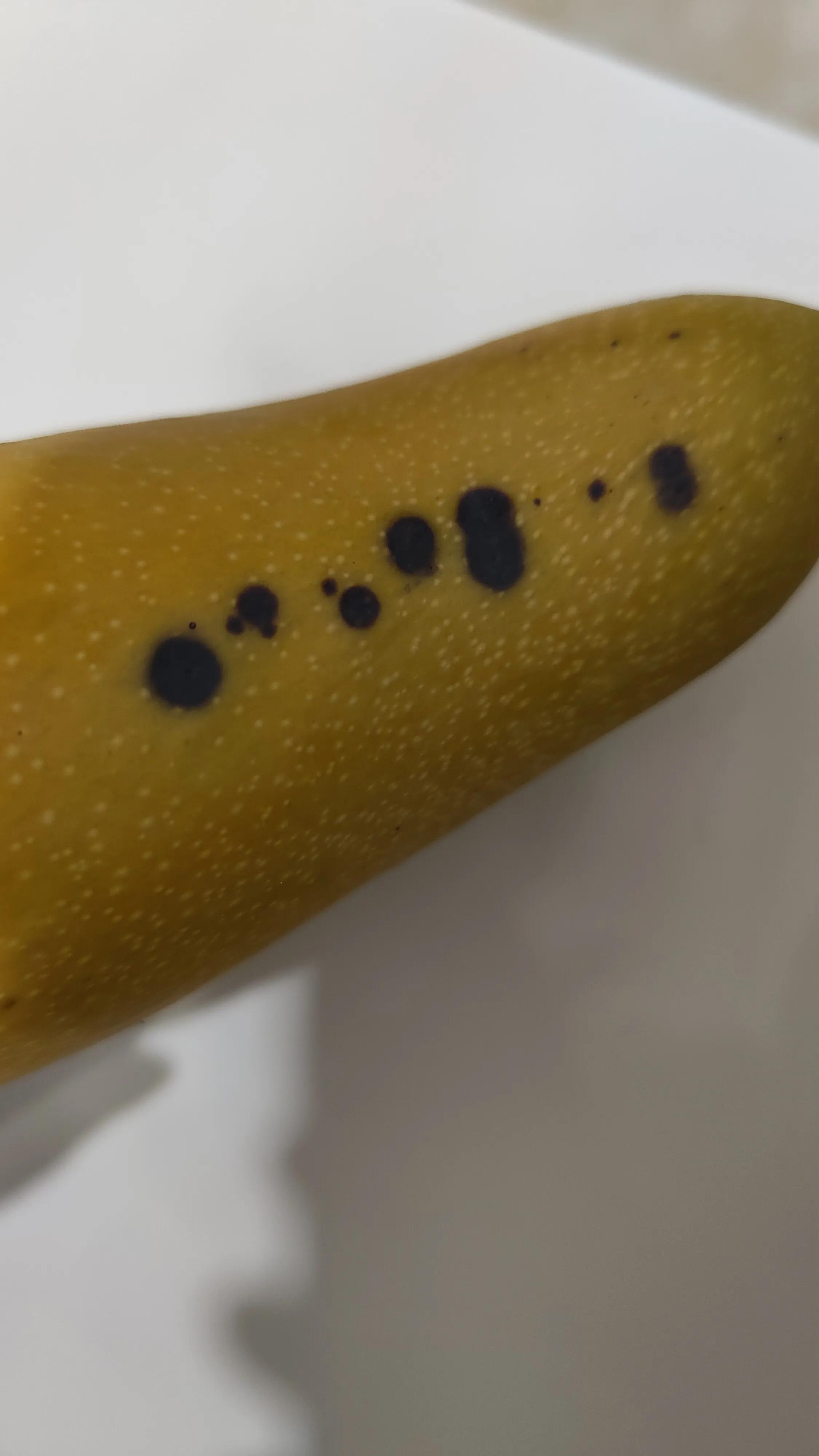 直播间秒杀的商品质量怎么样,直播超低价卖东西内幕