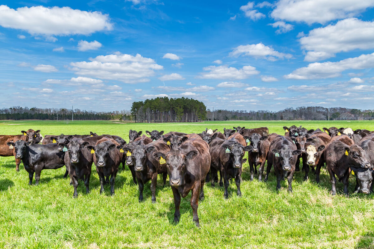 繁殖新技术,运用新技术转化为生产力