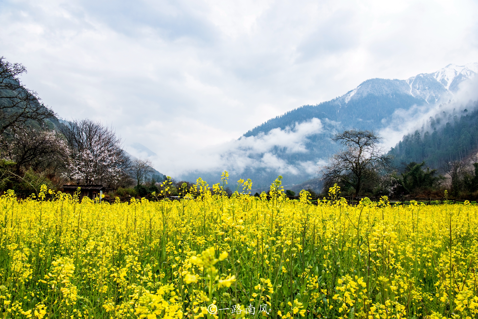 林芝美丽的城市,西藏林芝城市风景