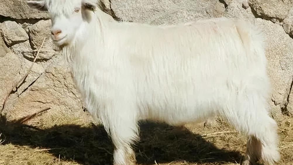 古代很温柔的刑罚,古代有很温柔的刑罚