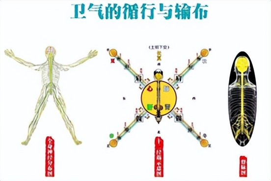 肿瘤患者发高烧会不会提高免疫力,肿瘤患者吃保健品提高免疫力