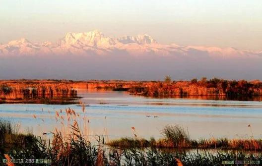 新疆玛纳斯湿地迎来候鸟迁徙,玛纳斯国家湿地公园迎候鸟