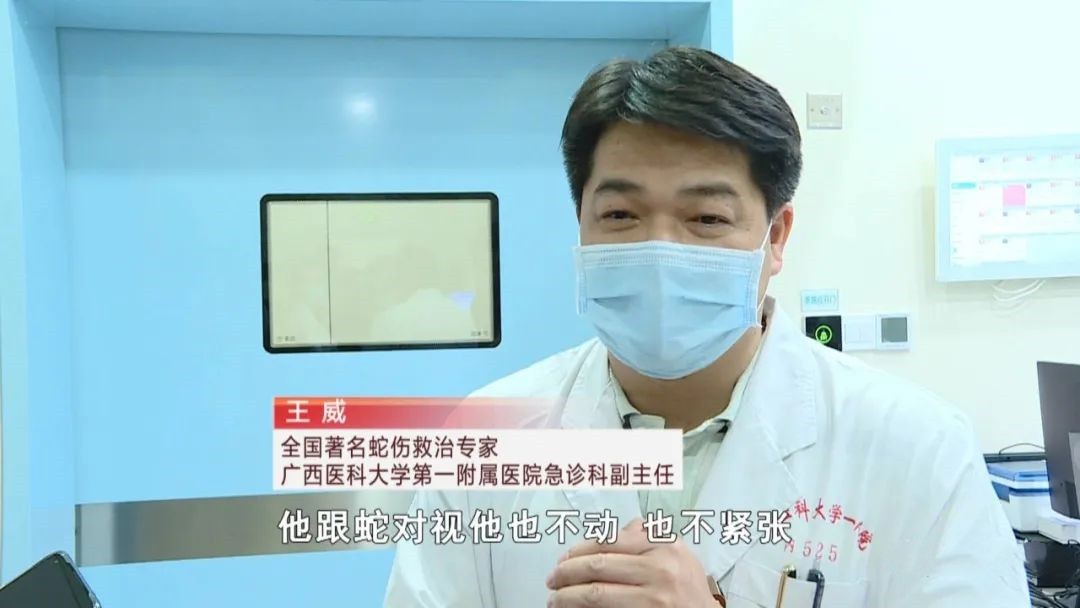 广西老汉惹怒眼镜王蛇,两招捡回一条命,路遇毒蛇该如何自救?