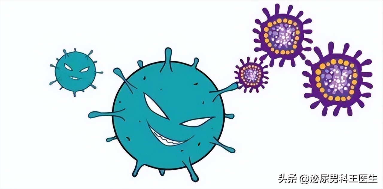 阴虱是什么？为什么现在很多人得阴虱？医生：离不开3个传播途径