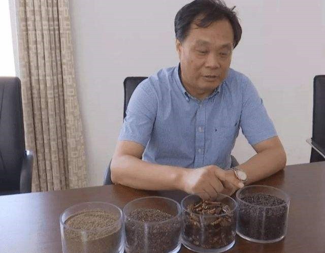 山东济南养殖蟑螂的李延荣,李延荣山东蟑螂处理垃圾第一人