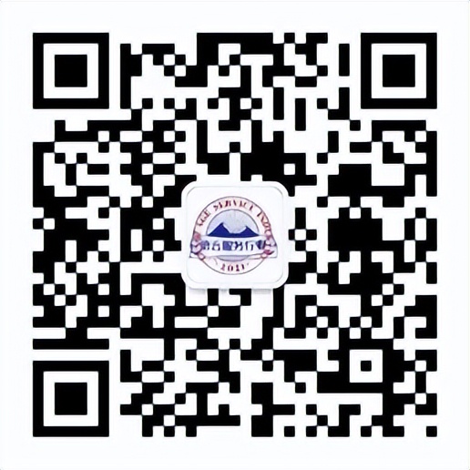 gt4t翻译软件怎么样,gt4t翻译软件