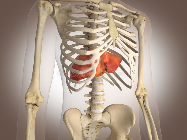 医院截肢最新消息,截肢掉的部位都去哪了