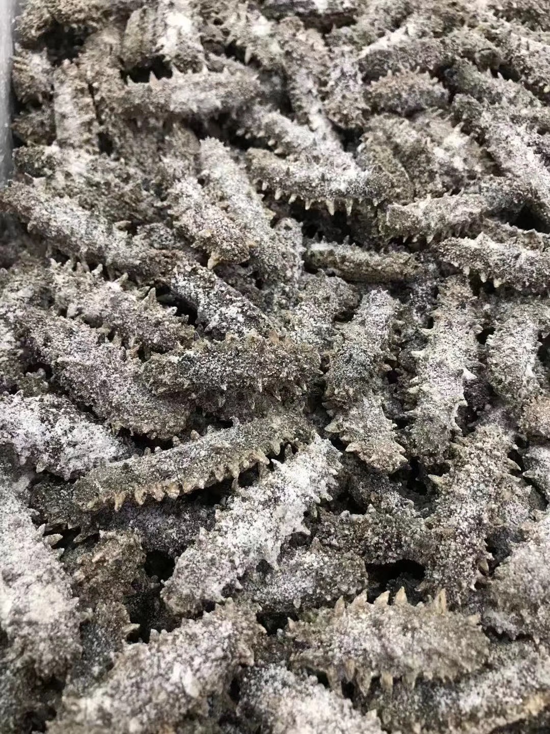 海参价格大概多少钱一斤最合适,海参价格一斤多少头最好