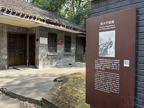 鍒濆涔嬫梾榛勯噾娴峰哺,鍒濆涔嬫梾